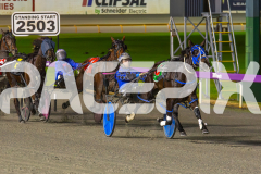2023_HCC_GP08082025_Race5_Wishing-Belle_WEB-3
