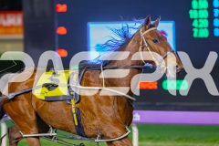 2026_PACEPIX_GP30062026_Race5_Yawoma_WIN_WEB-6