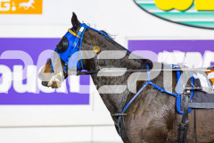 2026_PACEPIX_GP15052026_Race5_YourSoFine_WIN_WEB-10