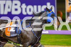 2026_PACEPIX_GP15052026_Race5_YourSoFine_WIN_WEB-8