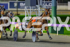 2026_PACEPIX_GP03072026_Race5_YoureSoFine_WIN_WEB-1