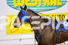 2026_PACEPIX_GP03072026_Race5_YoureSoFine_WIN_WEB-13