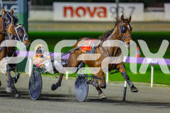2026_PACEPIX_GP03072026_Race5_YoureSoFine_WIN_WEB-2