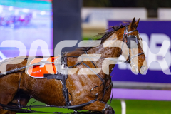 2026_PACEPIX_GP03072026_Race5_YoureSoFine_WIN_WEB-3