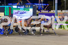 2026_PACEPIX_GP03072026_Race5_YoureSoFine_WIN_WEB-6