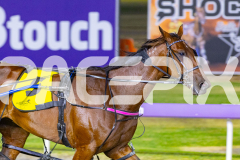 2025_PACEPIX_GP12122025_RACE6_Aardiebytheseaside_WIN_WEB-13