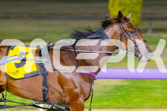 2025_PACEPIX_GP12122025_RACE6_Aardiebytheseaside_WIN_WEB-14
