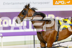 2025_PACEPIX_GP12122025_RACE6_Aardiebytheseaside_WIN_WEB-16