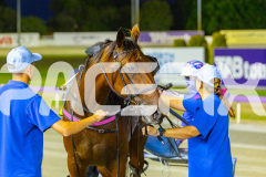 2025_PACEPIX_GP12122025_RACE6_Aardiebytheseaside_WIN_WEB-18
