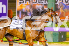 2025_PACEPIX_GP12122025_RACE6_Aardiebytheseaside_WIN_WEB-4