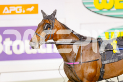 2025_PACEPIX_GP16052025_Race6_Aardiebytheseaside_WIN_WEB-11