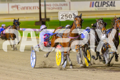 2025_PACEPIX_GP16052025_Race6_Aardiebytheseaside_WIN_WEB-5