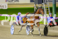 2025_PACEPIX_GP16052025_Race6_Aardiebytheseaside_WIN_WEB-9