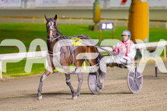 2025_PACEPIX_GP10062025_RACE6_AirMarshal_WIN_WEB-14