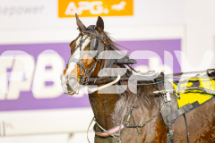 2025_PACEPIX_GP10062025_RACE6_AirMarshal_WIN_WEB-15
