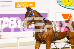 2025_Pacepix_GP26092025_Race6_AkoyaPearl_WIN_WEB-36
