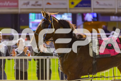 2025_Pacepix_GP26092025_Race6_AkoyaPearl_WIN_WEB-40