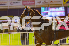 2025_Pacepix_GP26092025_Race6_AkoyaPearl_WIN_WEB-41