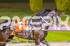 2025_PACEPIX_GP14102025_Race6_AlfaJess_WIN_WEB-19
