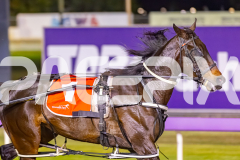 2025_PACEPIX_GP14102025_Race6_AlfaJess_WIN_WEB-4