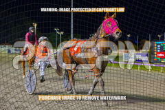 RACE 6 - Alta Allure