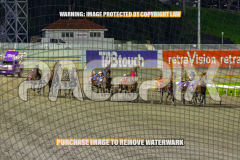 2026_Pacepix_GP14082026_Race6_AltaAllure_WIN_WEB-1
