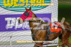2026_Pacepix_GP14082026_Race6_AltaAllure_WIN_WEB-13