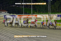 2026_Pacepix_GP14082026_Race6_AltaAllure_WIN_WEB-2