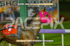 2026_Pacepix_GP14082026_Race6_AltaAllure_WIN_WEB-9