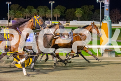 2026_PACEPIX_GP18042026_RACE6_AltaTribute_WIN_WEB-20