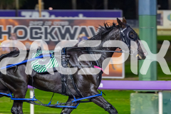2026_PACEPIX_GP05052026_Race6_Arista_WIN_WEB-5