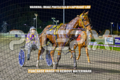 RACE 6 - Artful Major