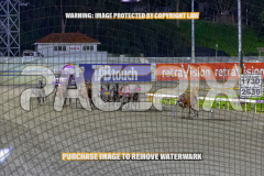 2026_Pacepix_GP21082026_Race6_ArtfulMajor_WIN_WEB-2