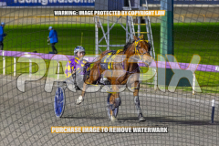 2026_Pacepix_GP21082026_Race6_ArtfulMajor_WIN_WEB-4