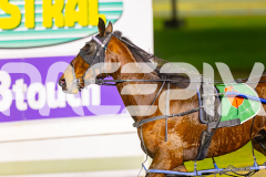 2025_PACEPIX_GP01072025_Race6_Bartlett_WIN_WEB-13
