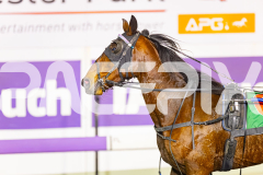 2025_PACEPIX_GP01072025_Race6_Bartlett_WIN_WEB-14
