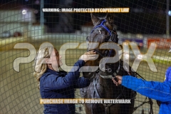 RACE 6 - Bet Im Hot