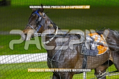 2026_PACEPIX_GP02102026_Race6_BetImHot_WIN_WEB-13