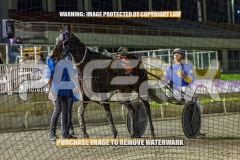 2026_PACEPIX_GP02102026_Race6_BetImHot_WIN_WEB-20