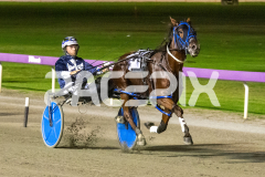 Betterthanlife_14-04-2026_WIN_Gloucester-Park_6__03