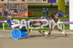 Betterthanlife_14-04-2026_WIN_Gloucester-Park_6__07