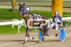 Betterthanlife_14-04-2026_WIN_Gloucester-Park_6__10