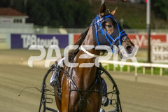 Betterthanlife_14-04-2026_WIN_Gloucester-Park_6__11