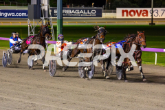 Bettor-be-Bucks_07-07-2026_WIN_Gloucester-Park_6__03