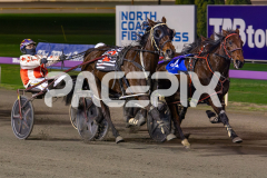 Bettor-be-Bucks_07-07-2026_WIN_Gloucester-Park_6__04
