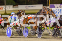 RACE 6 - Big Bozz