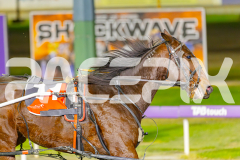 2025_PACEPIX_GP27052025_RACE6_BigBozz_WIN_WEB-11