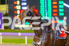 2025_PACEPIX_GP27052025_RACE6_BigBozz_WIN_WEB-15