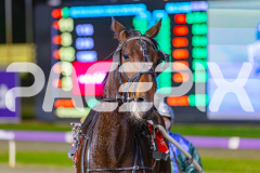 2025_PACEPIX_GP27052025_RACE6_BigBozz_WIN_WEB-16