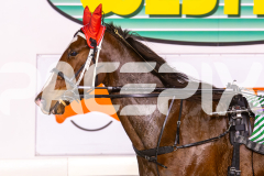 2023_HCC_GP08082025_Race6_Blaze-Away_WEB-9